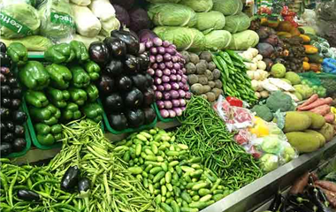 Wider spacing in crops helps tide over water  scarcity