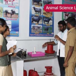Academic Facilities