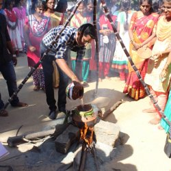 Pongal Vizha