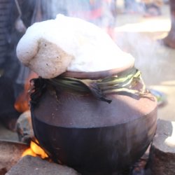 Pongal Vizha