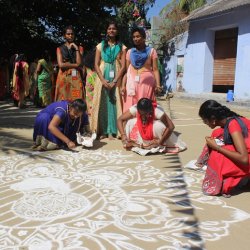 Pongal Vizha