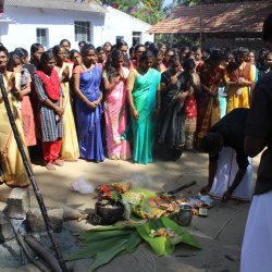 Pongal Vizha