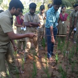 Crop Management